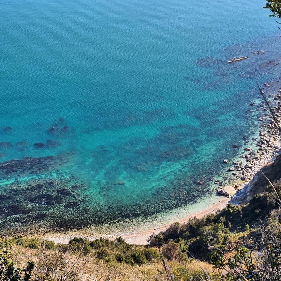La Pinetina Apartment Ancona Bagian luar foto